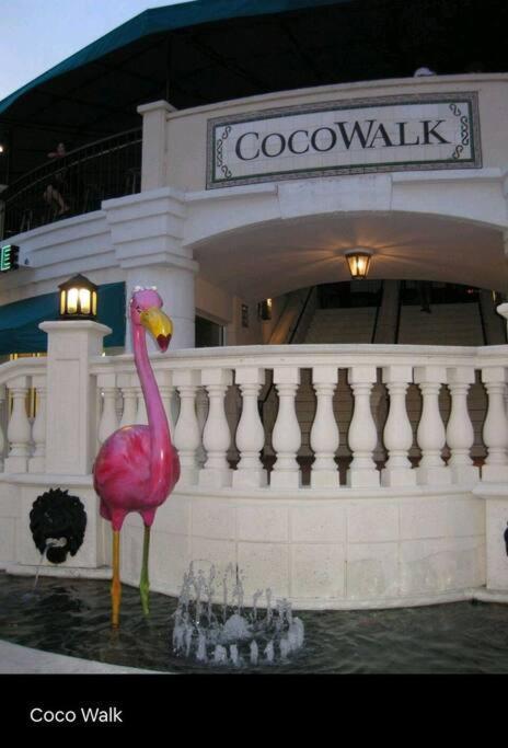 Sol Miami # 2 With Free Parking Διαμέρισμα Εξωτερικό φωτογραφία